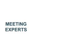 Meeting Experts